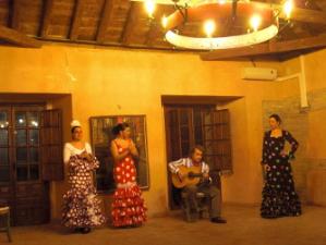 Espectaculo de flamenco
