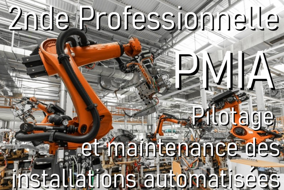 Screenshot 2025-05-19 at 14-37-29 logo PMIA.pdf.png